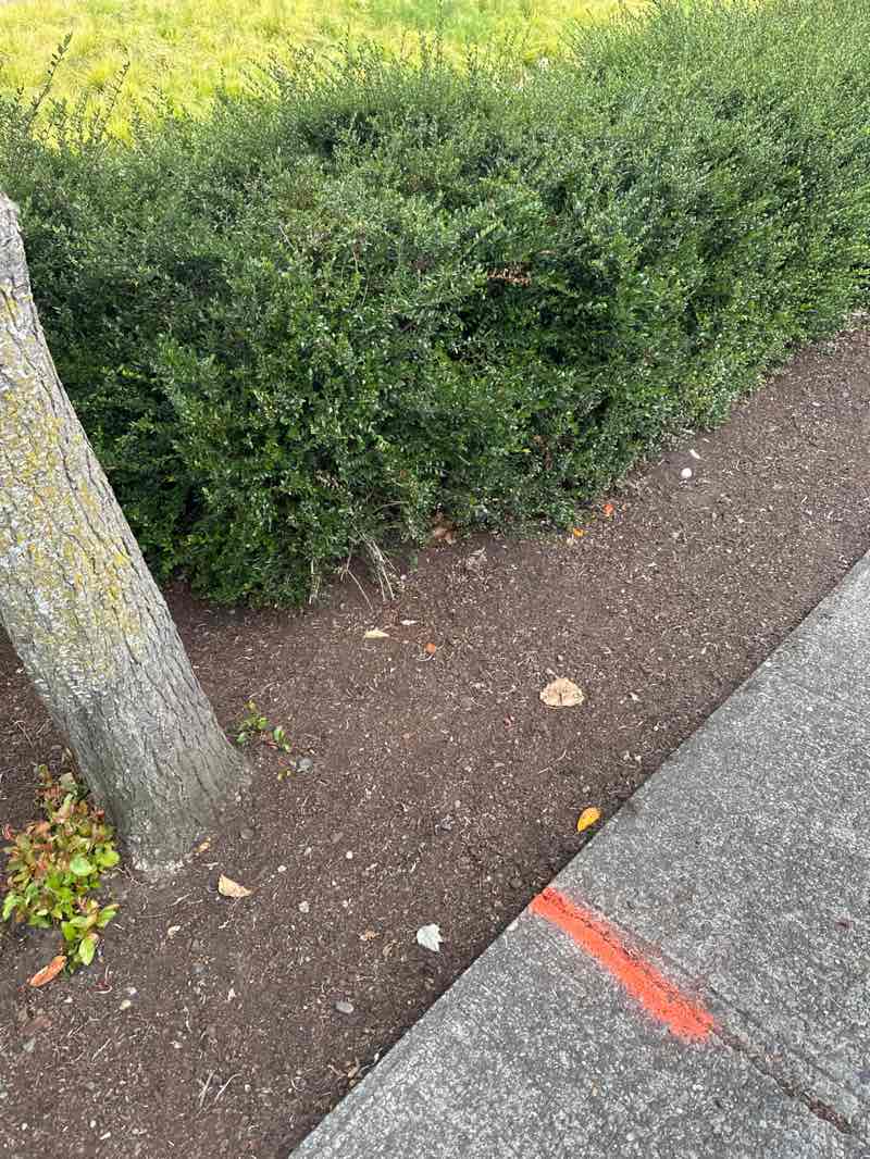walking near me in Civic Center Field in summer