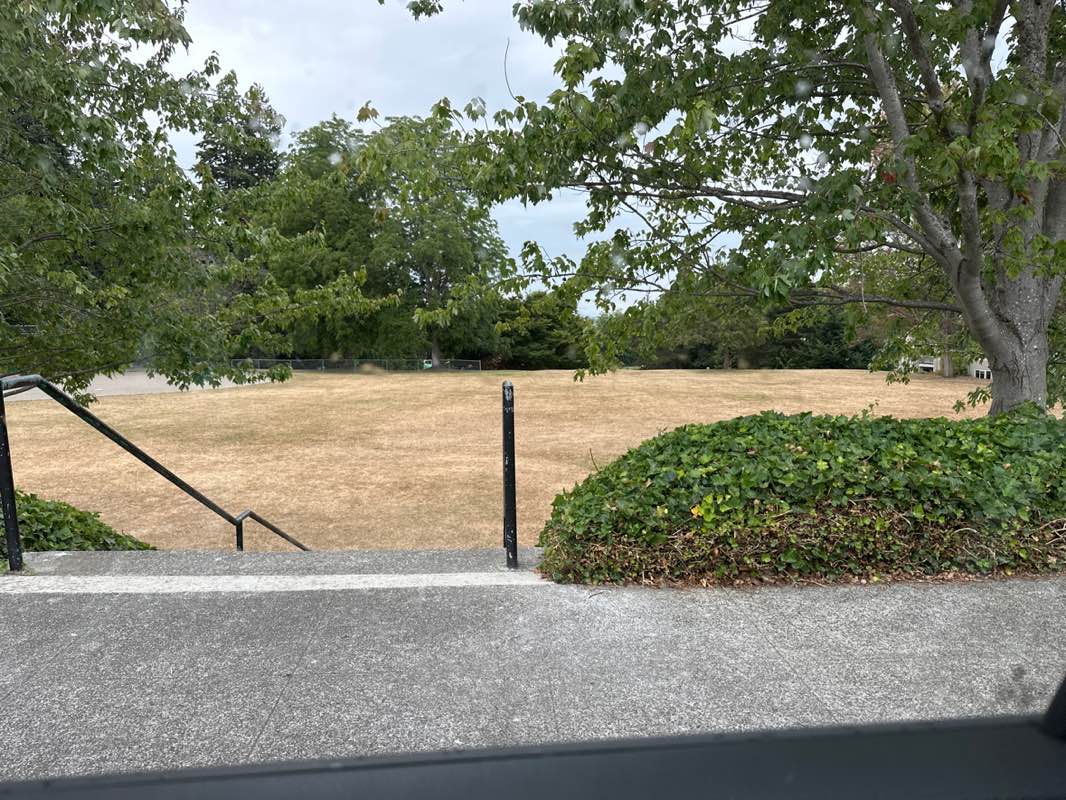 walking near me in Edmonds City Park in summer