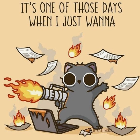 🌸🐱cat walker🐱🌸 post 2