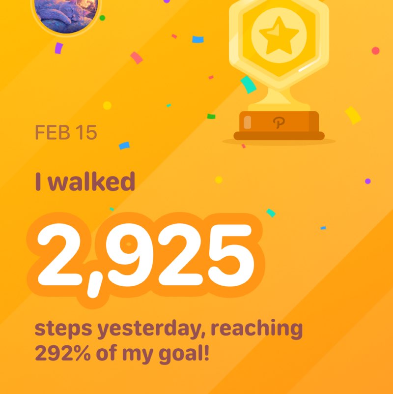 🌸🐱cat walker🐱🌸 post 1