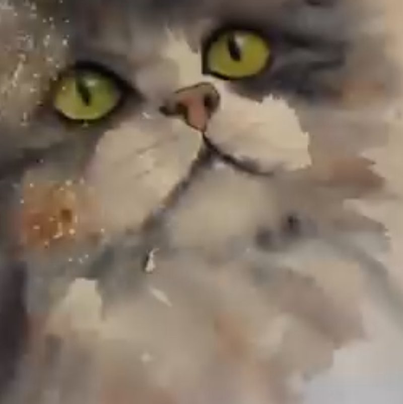 🌸🐱cat walker🐱🌸 post 2