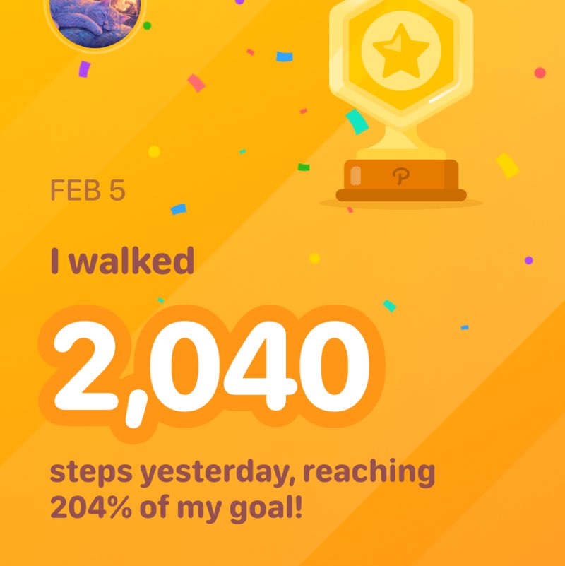 🌸🐱cat walker🐱🌸 post 1