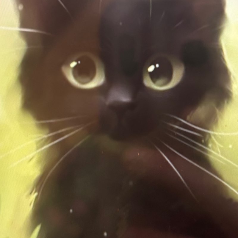 🌸🐱cat walker🐱🌸 post 3