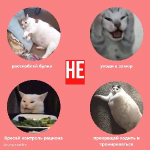 Катя Вавилова icon
