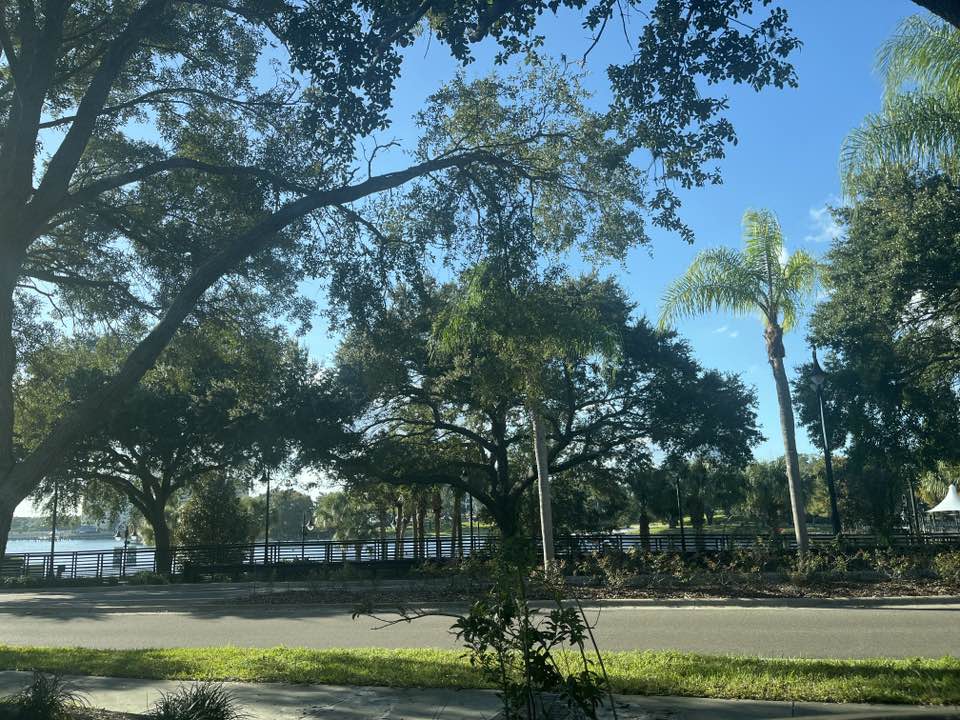 walking near me in Crane's Roost Park in autumn