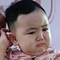 Ace-silicious profile