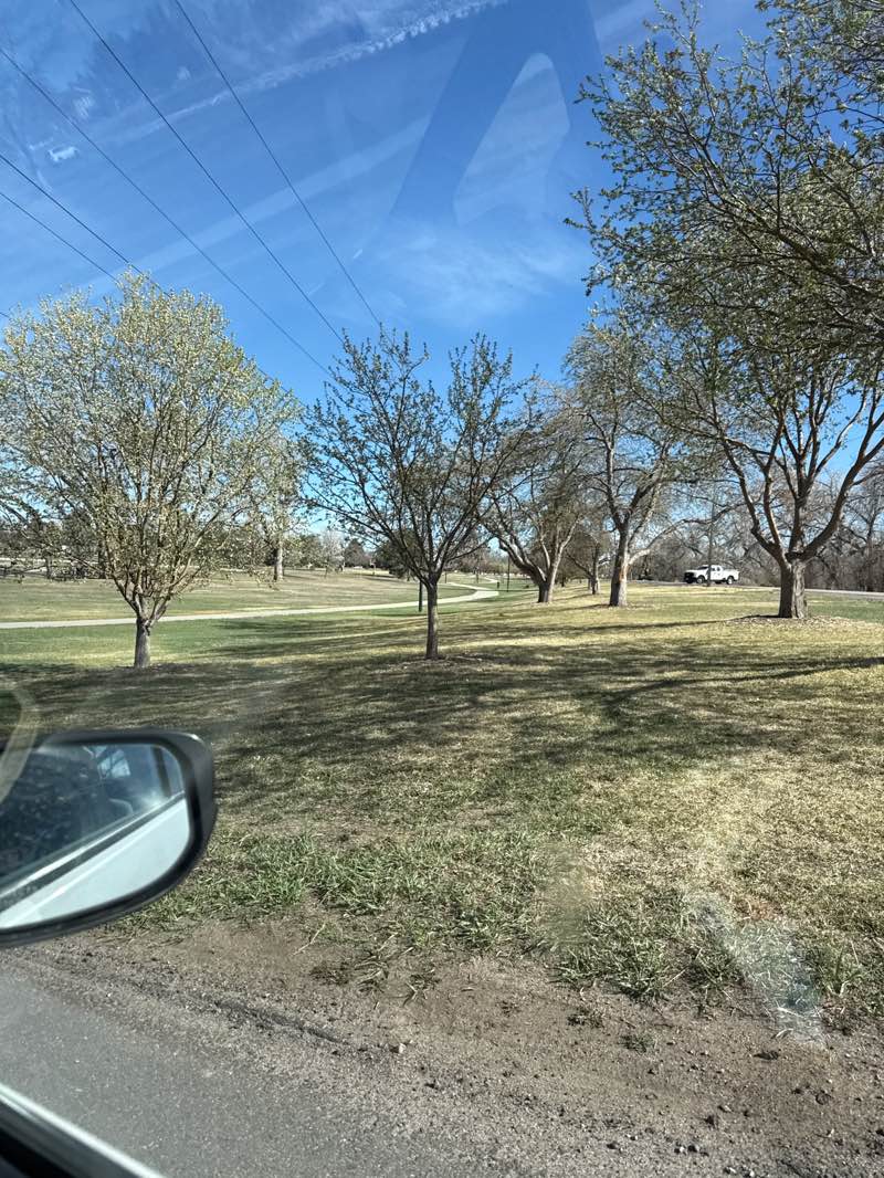 walking near me in David T. Garland Sr. Park in spring