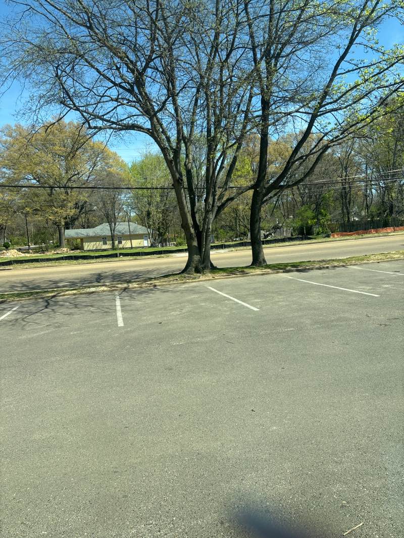 walking near me in Frayser Park in spring