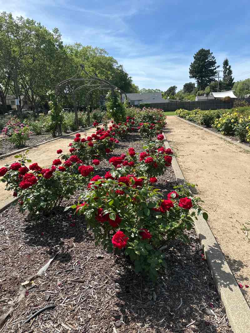 walking near me in Grant Mahoney Park in spring