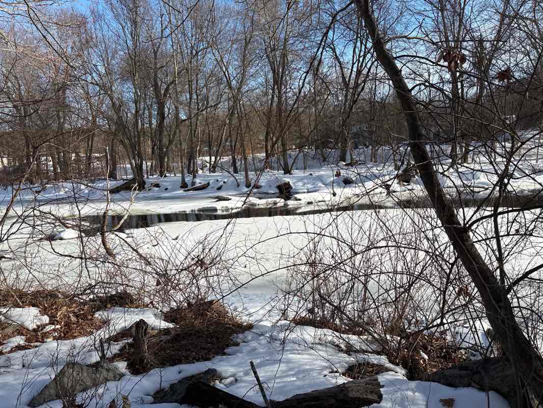 walking near me in Assabet River Walk Conservation Area in winter