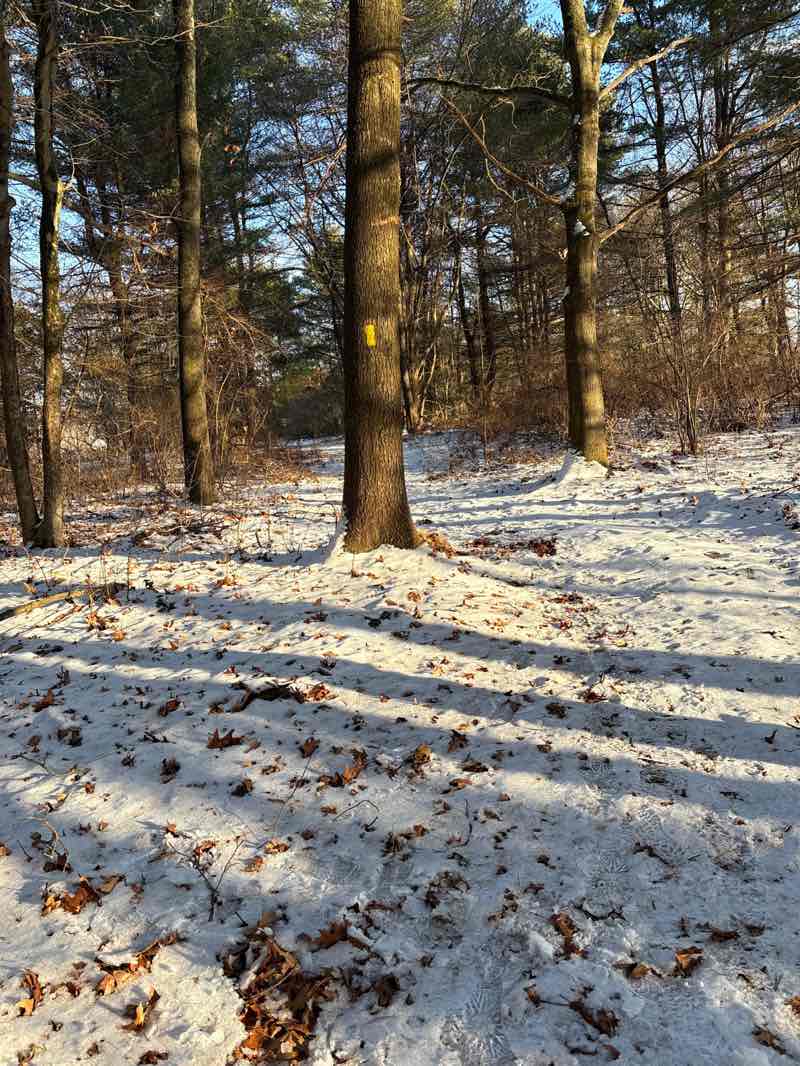 walking near me in Wetherbee Conservation Land in winter