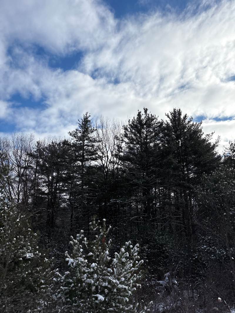 walking near me in Hager Hill in winter