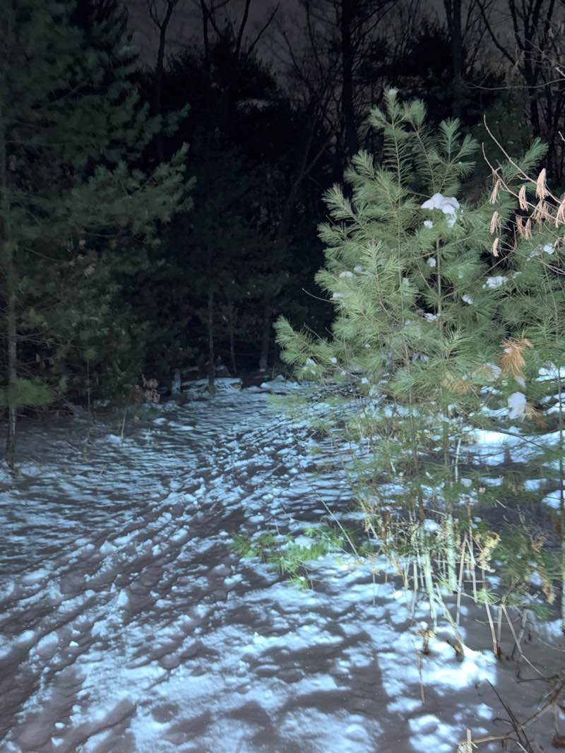 walking near me in Hapgood Wright Town Forest in winter