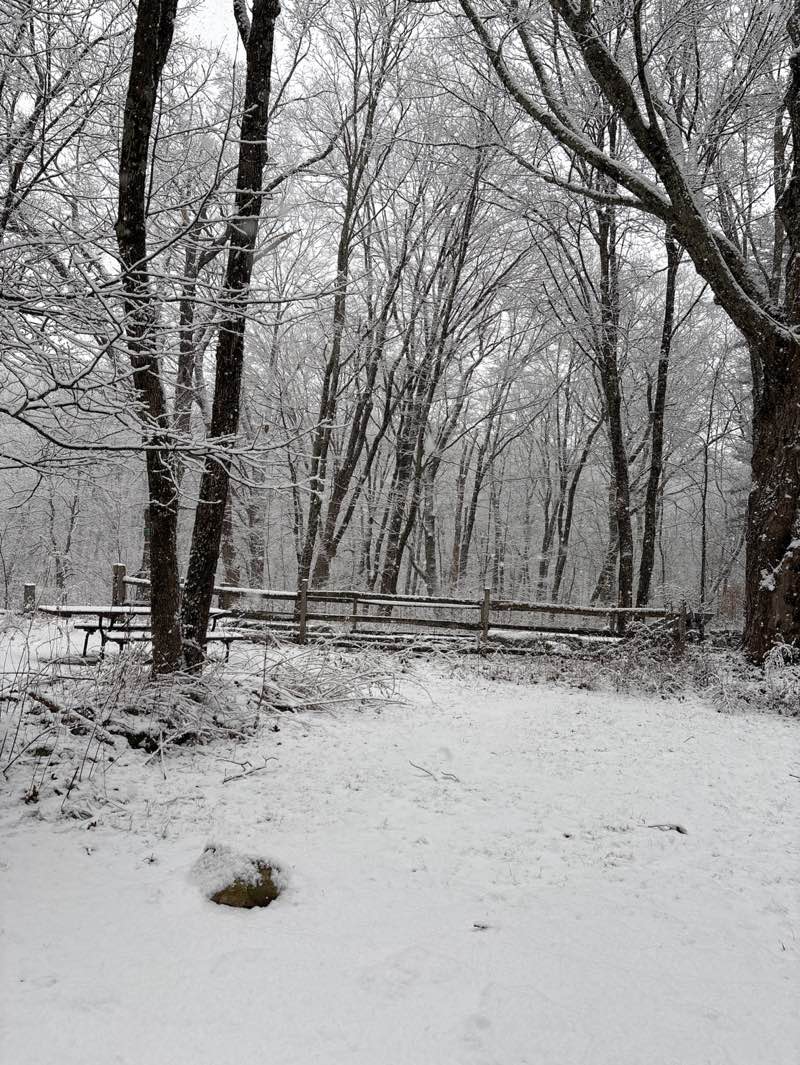 walking near me in Robbins Mill Conservation Land in winter