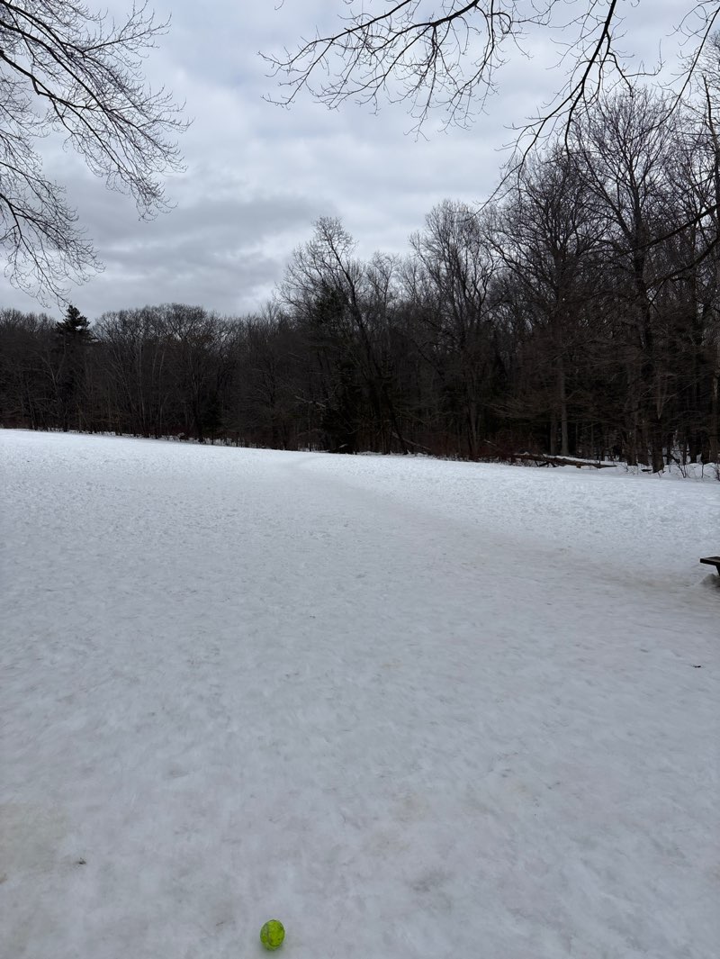 walking near me in Great Hill Conservation Land in winter