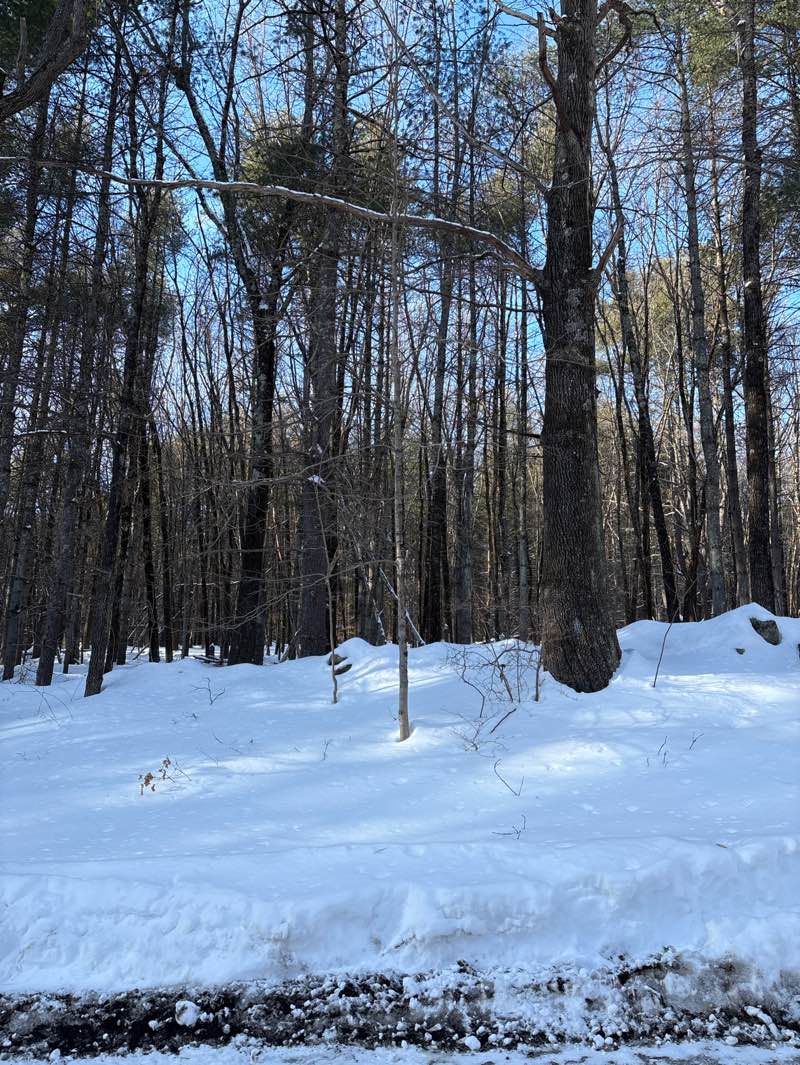 walking near me in Captain Sargent Farm Conservation Area in winter