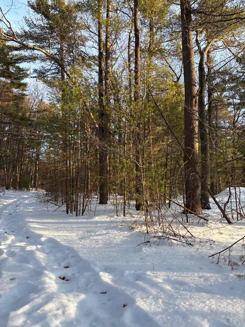 walking near me in Powder Mill Woods in winter