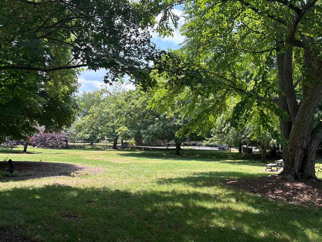 walking near me in Elm Park in summer