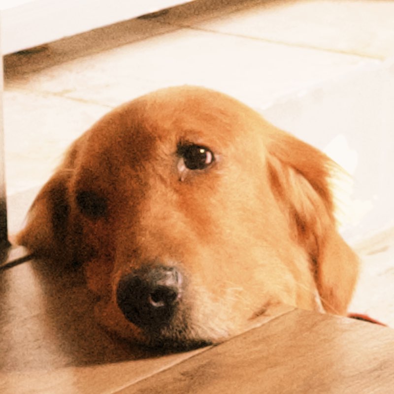 Anne Louise Talens profile