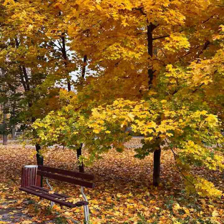 🏃♂️Долгопрудный 🏃♀️🌏 Гульнара post image