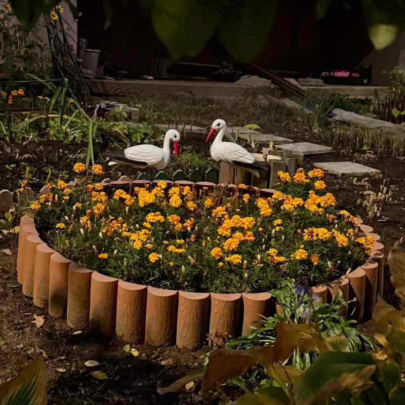 🏃♂️Долгопрудный 🏃♀️🌏 Гульнара post image