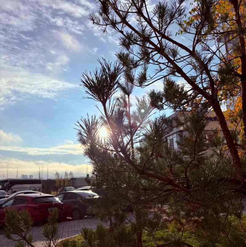 СДЭК-ИНТЕР Алина Орлова post image