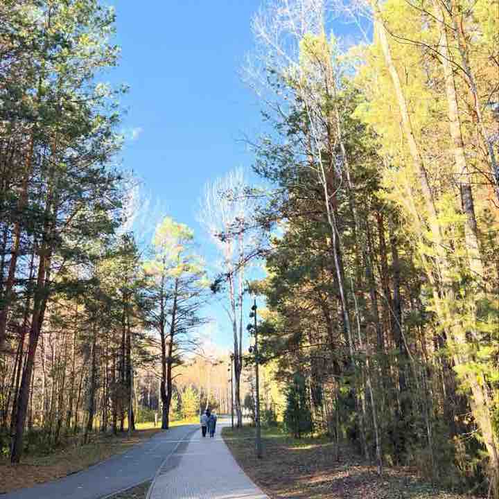 Банда в кедах 🩰 Алина Орлова post image