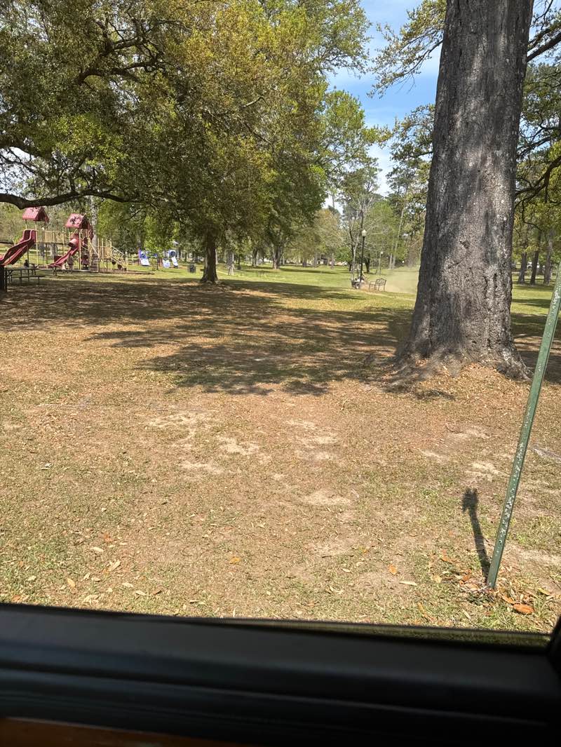 walking near me in Gardiner Park in spring