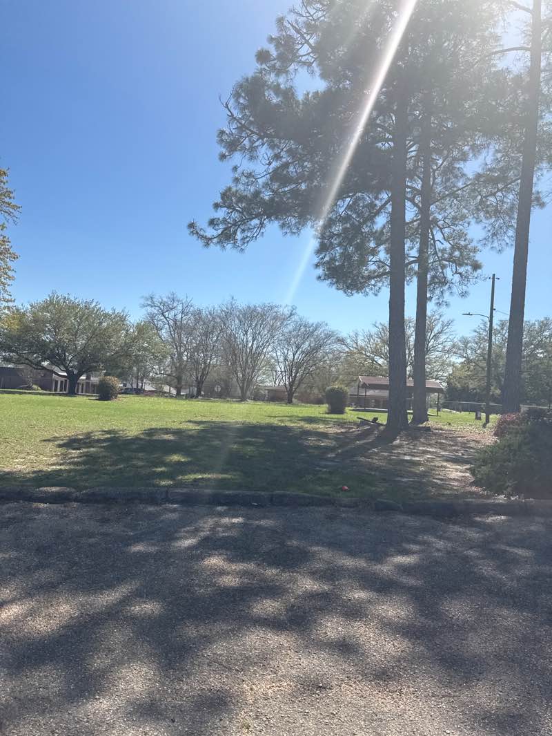 walking near me in Cotton Mill Park in spring