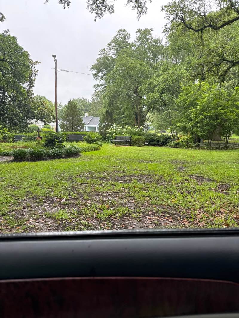 walking near me in Euclid Park in summer