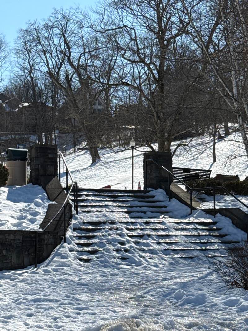 walking near me in Mount Lebanon Park in winter