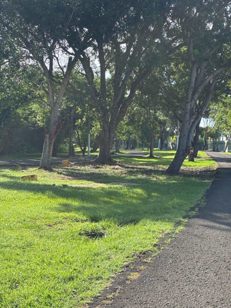 walking near me in Parque Julia de Burgos in autumn