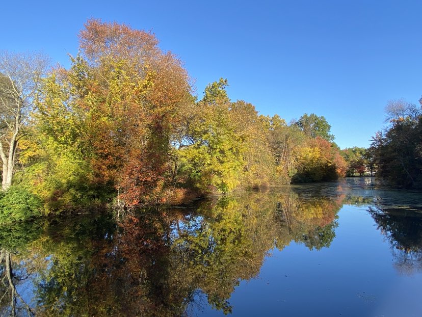 walking near me in Peninsula East in autumn