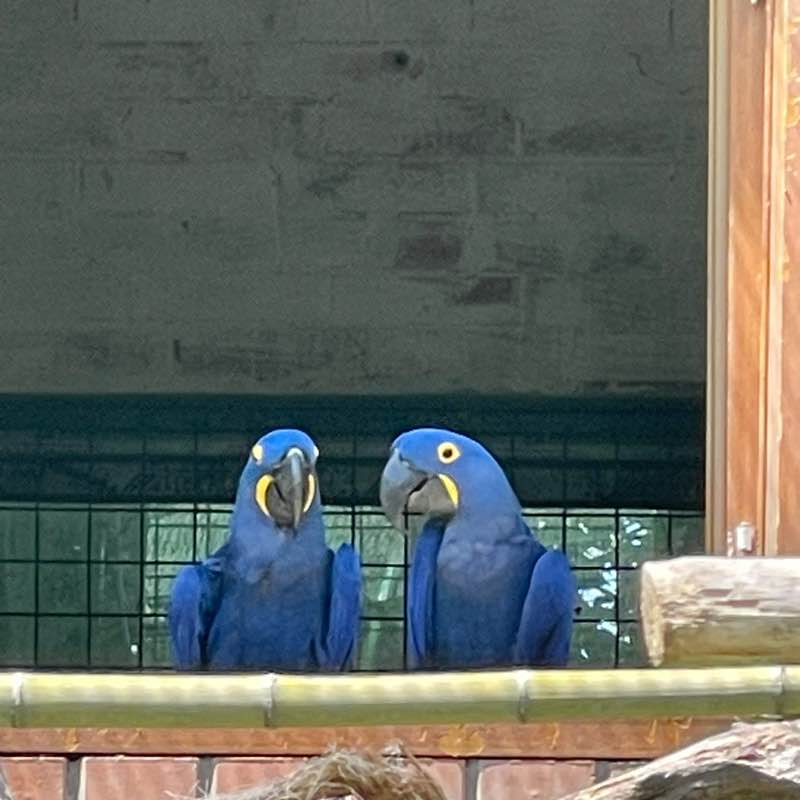 Банда в кедах 🩰 Liliya post image