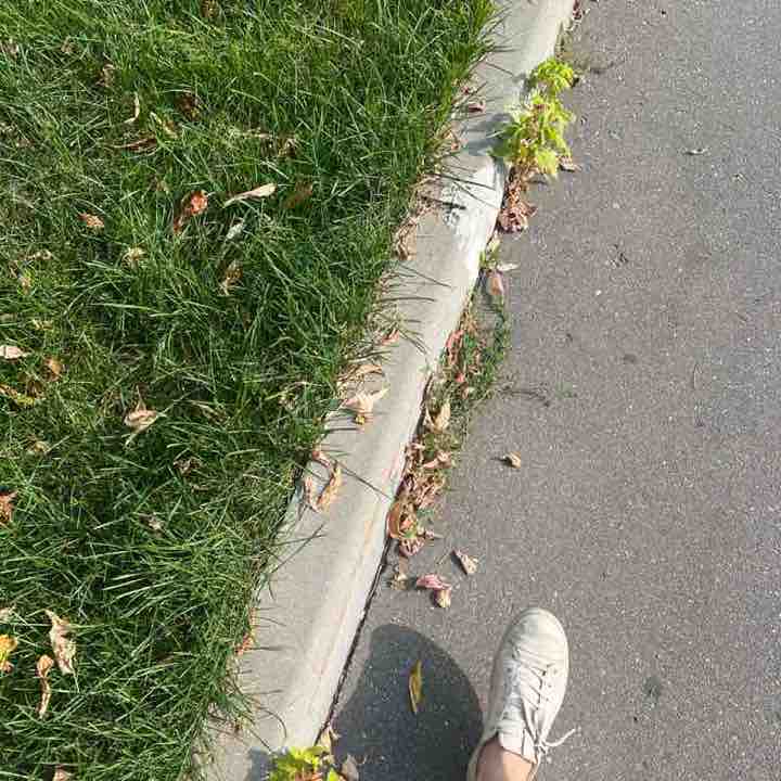 Elena post 1