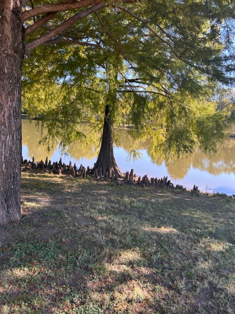 walking near me in Valley Creek Park in autumn