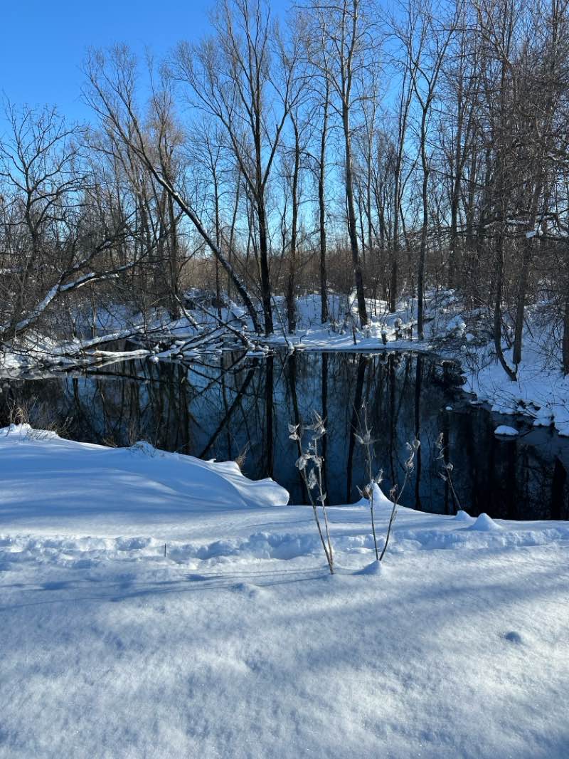 walking near me in Millennium Park in winter