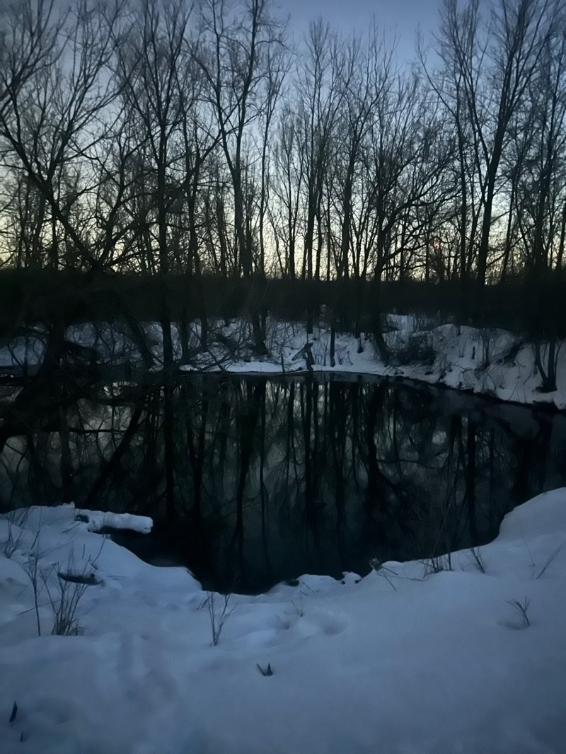 walking near me in Millennium Park in winter