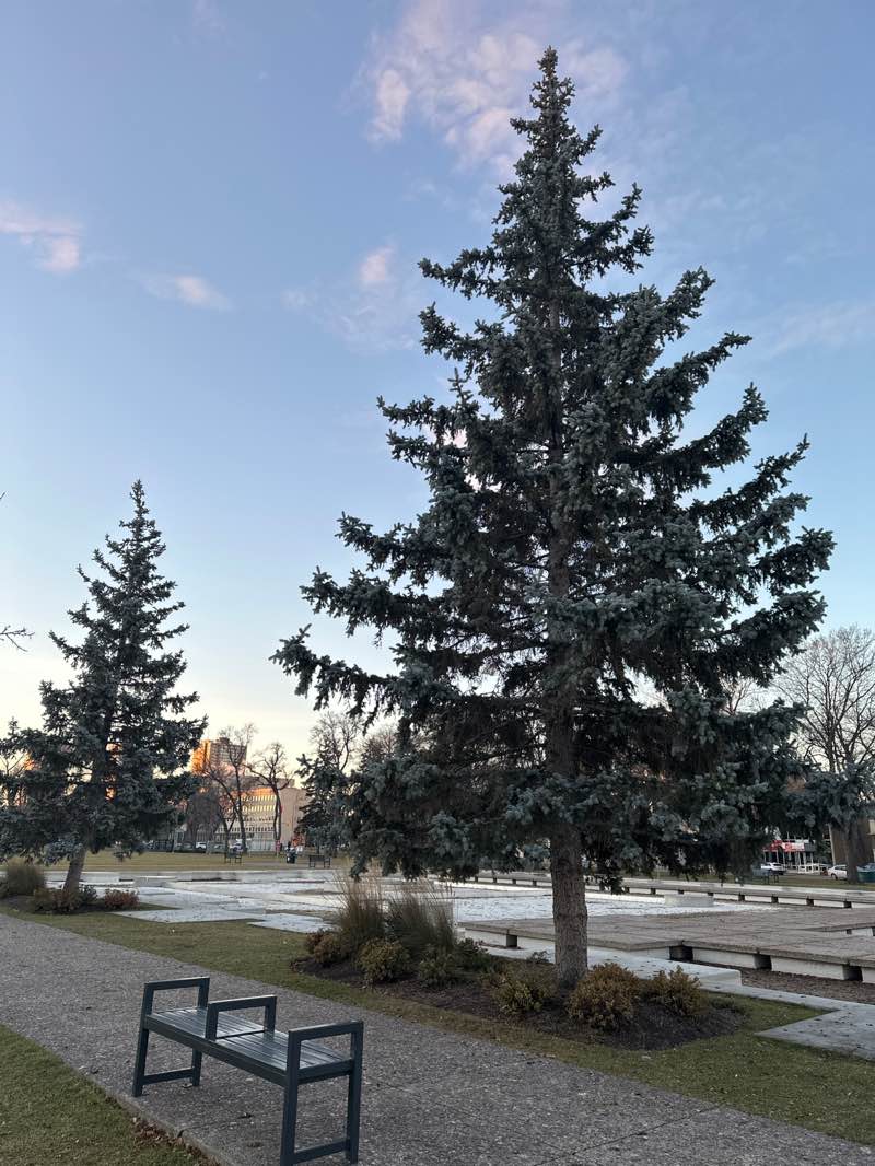 walking near me in Memorial Provincial Park in autumn