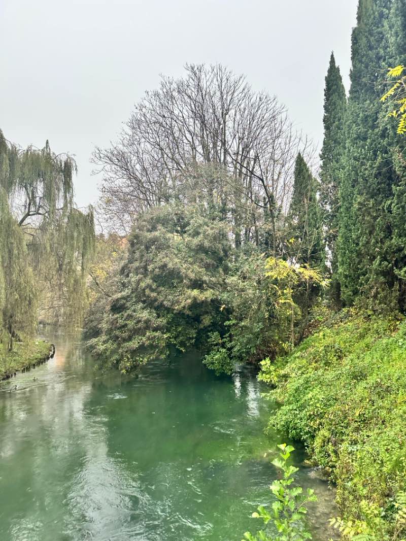 walking near me in Mura di treviso in autumn