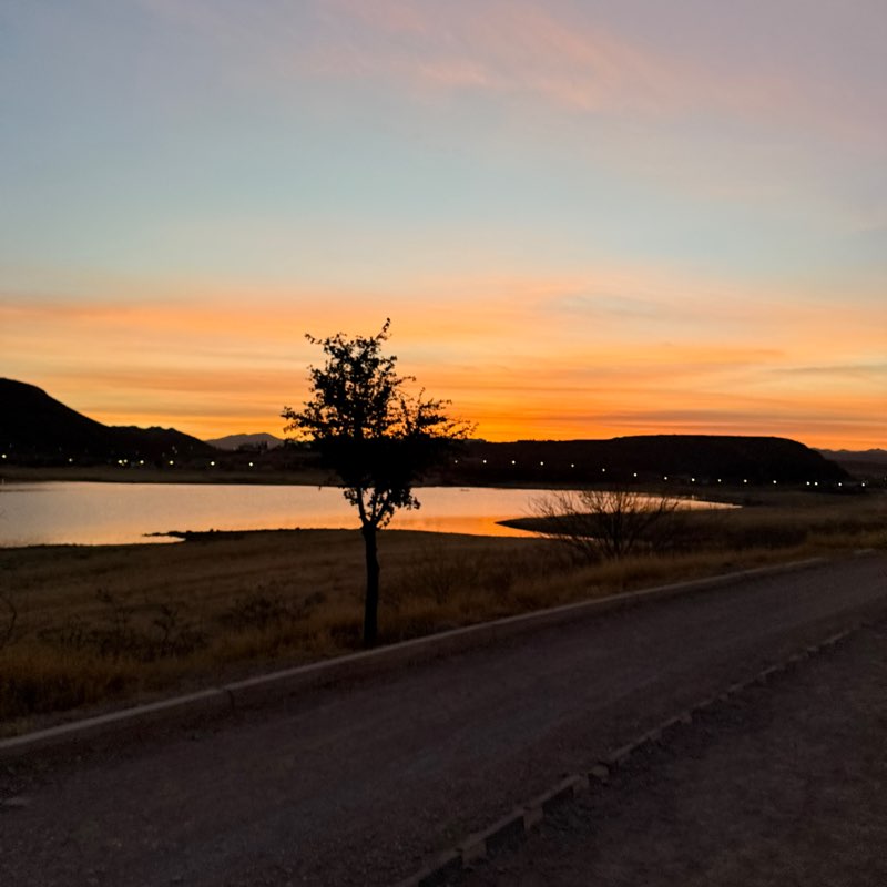 Happy Salmon  Angélica post image