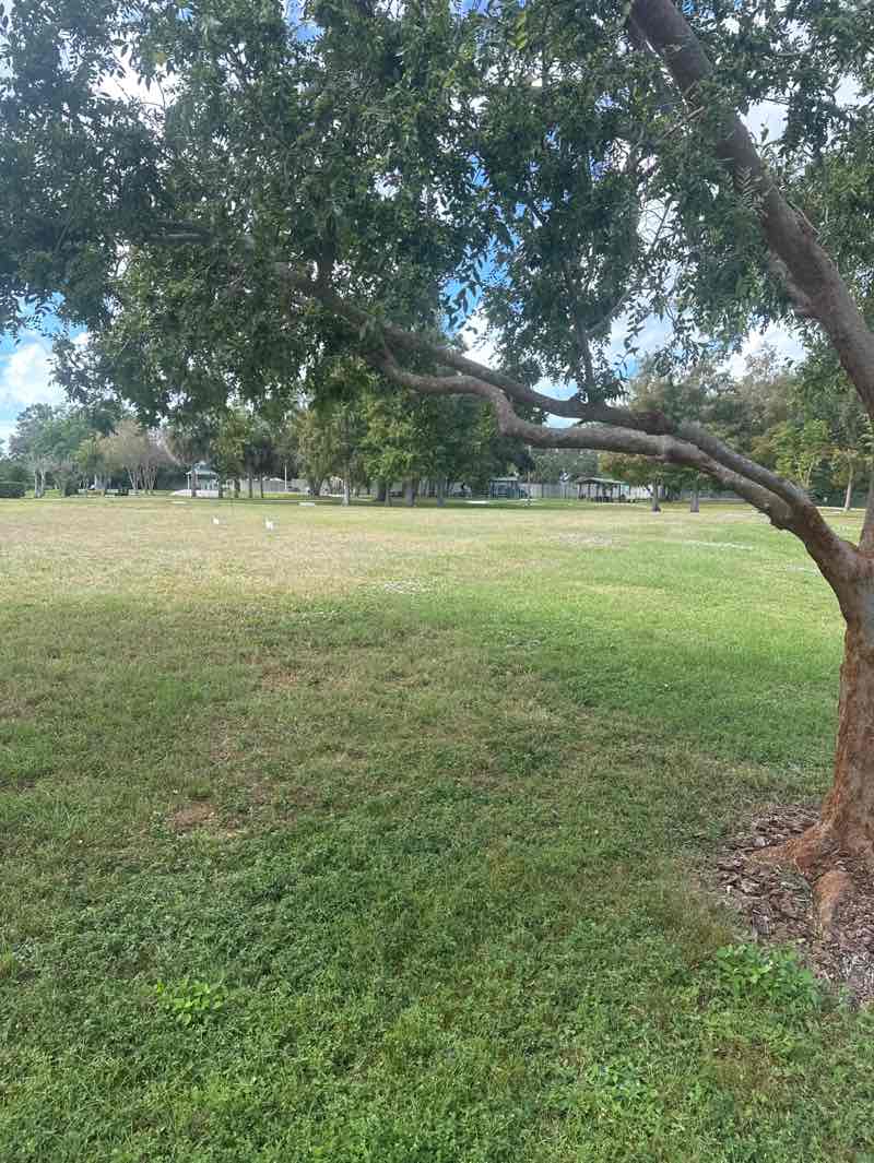 walking near me in Blossom Lake Park in autumn