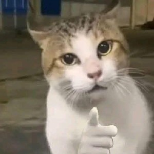 Chamod Nadeeshan icon