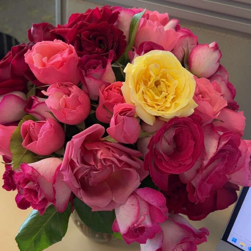 Sabina Gasimova profile