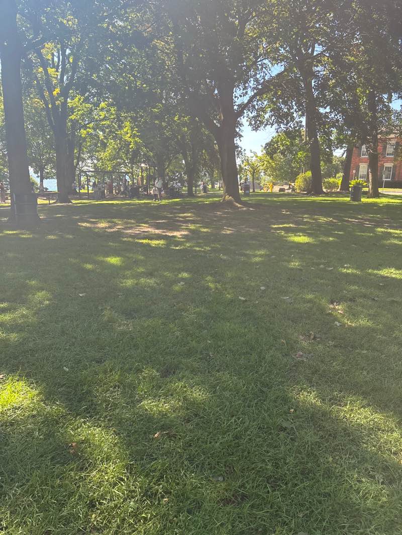 walking near me in Lakeside Park in autumn