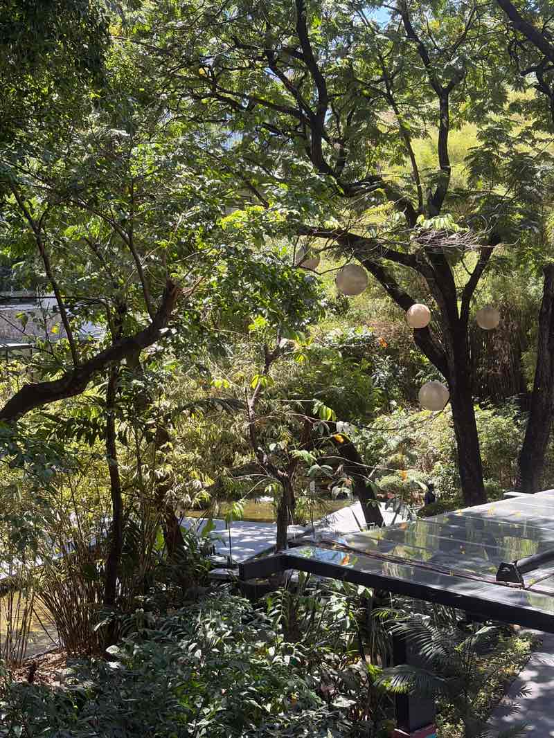 walking near me in Greenbelt Park in spring