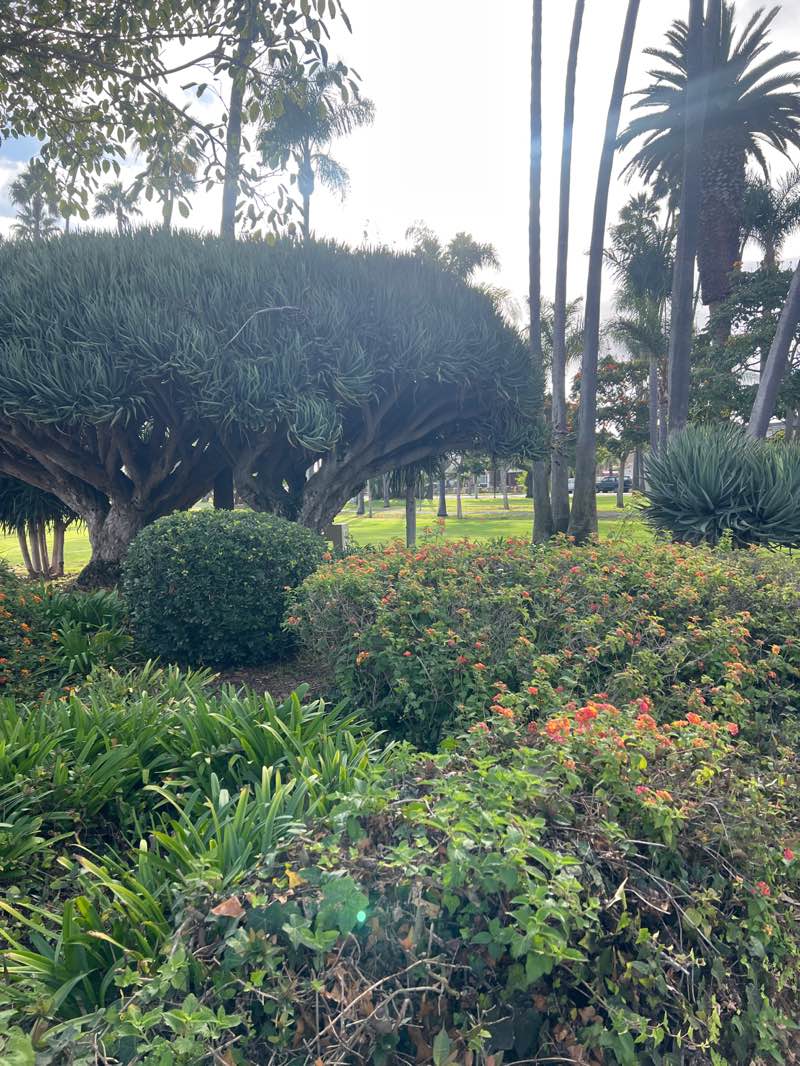 walking near me in Farquhar Park in autumn