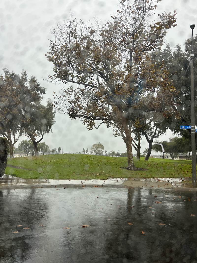 walking near me in Lark View Park in autumn