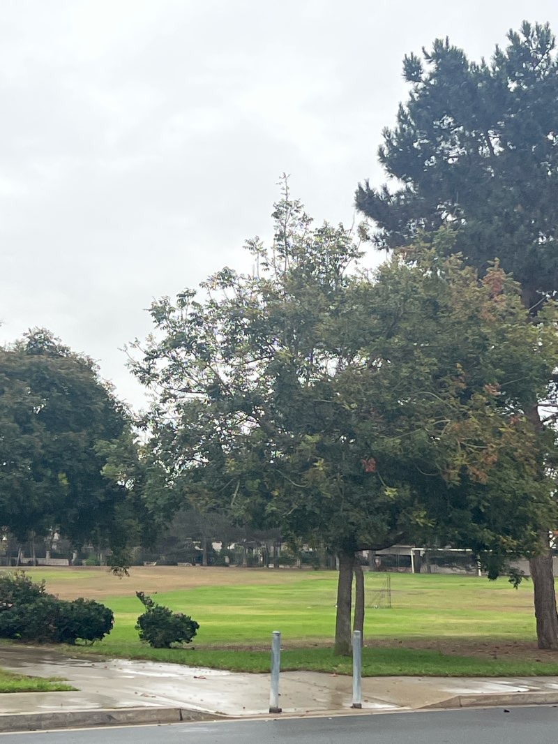 walking near me in McCallen Park in autumn