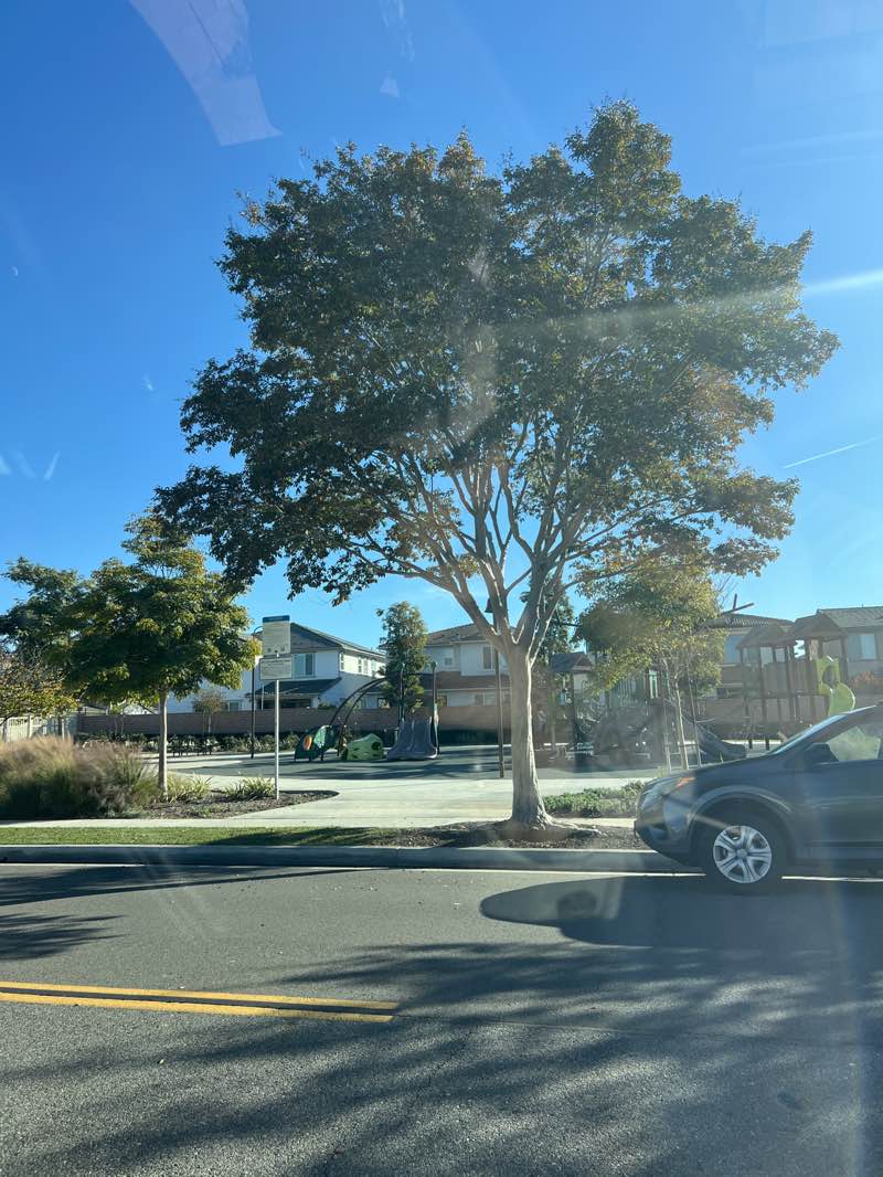 walking near me in Franklin Park in autumn